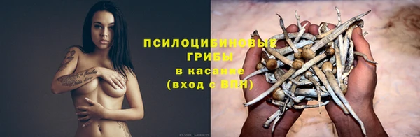 2c-b Аркадак