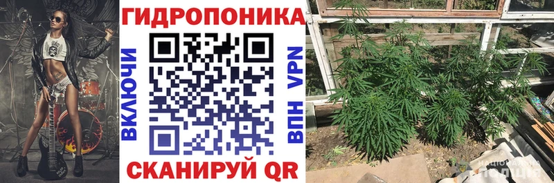 МАРИХУАНА план  darknet наркотические препараты  Южа  закладки 